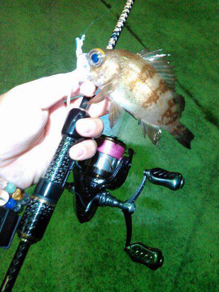 ひっさびさのライトゲーム！❤